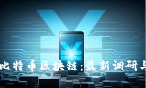 深入解析比特币区块链:最新调研与未来展望