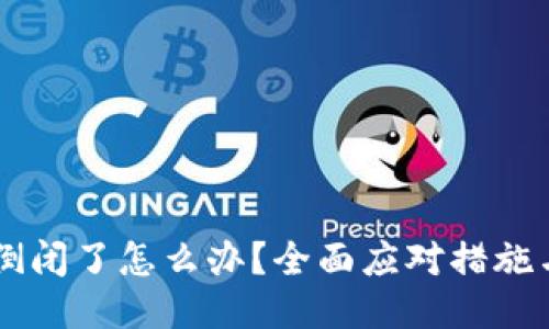 TPWallet倒闭了怎么办?全面应对措施与用户指南